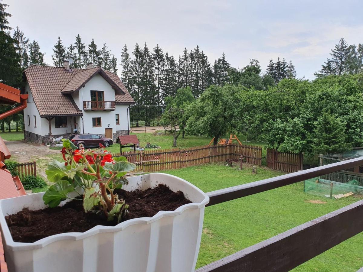 Kurnik Polski Agroturystyka Tykocin Dış mekan fotoğraf