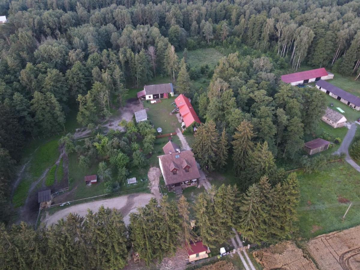 Kurnik Polski Agroturystyka Tykocin Dış mekan fotoğraf