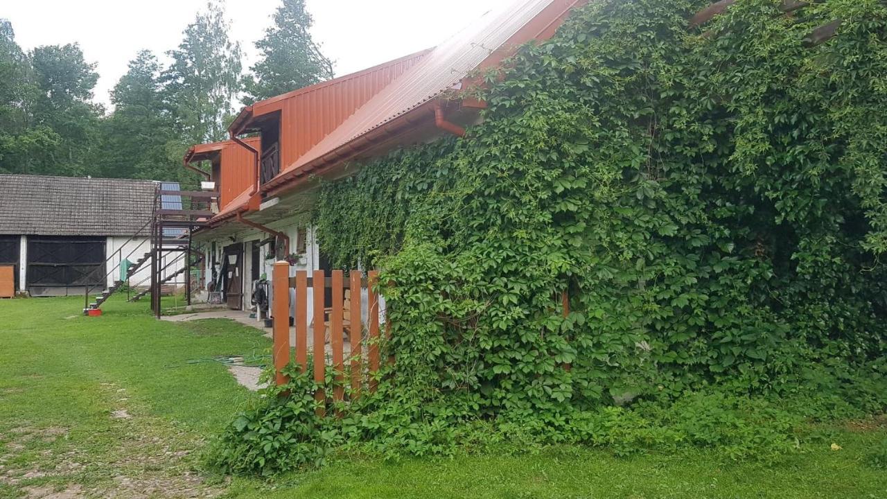 Kurnik Polski Agroturystyka Tykocin Dış mekan fotoğraf