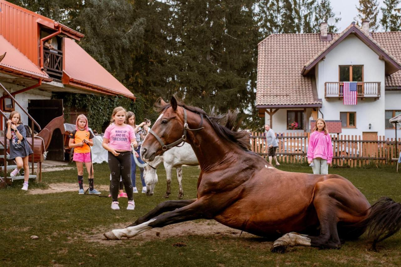 Kurnik Polski Agroturystyka Tykocin Dış mekan fotoğraf