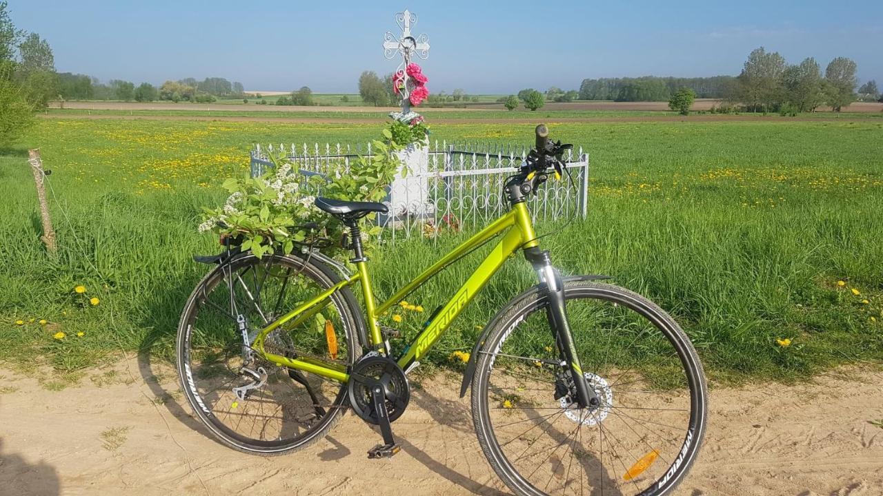 Kurnik Polski Agroturystyka Tykocin Dış mekan fotoğraf