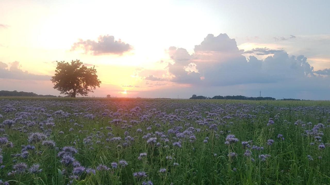 Kurnik Polski Agroturystyka Tykocin Dış mekan fotoğraf