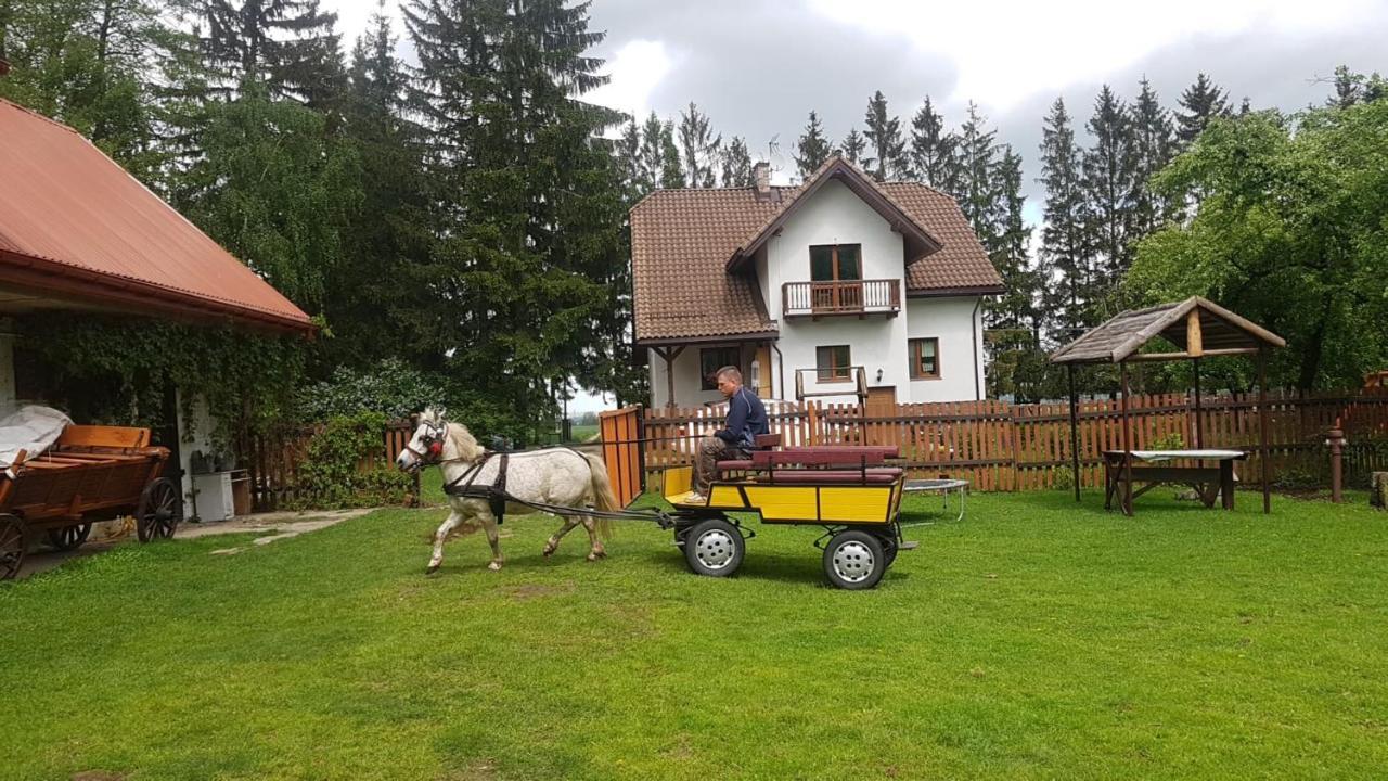 Kurnik Polski Agroturystyka Tykocin Dış mekan fotoğraf