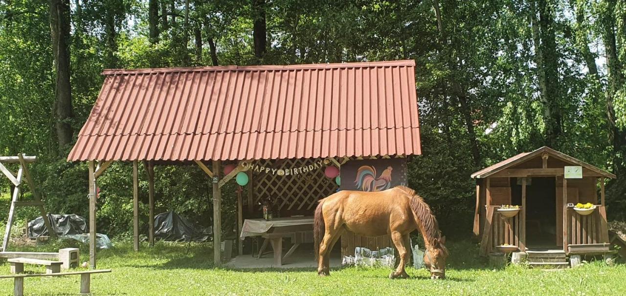 Kurnik Polski Agroturystyka Tykocin Dış mekan fotoğraf