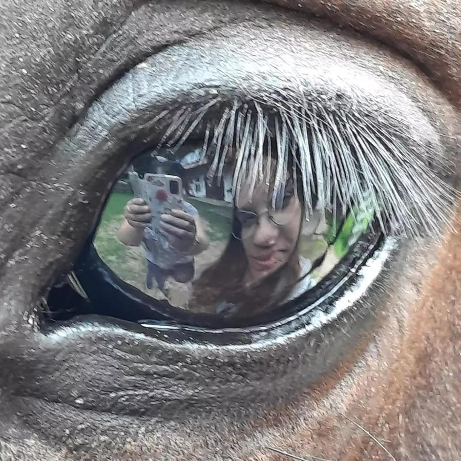 Kurnik Polski Agroturystyka Tykocin Dış mekan fotoğraf
